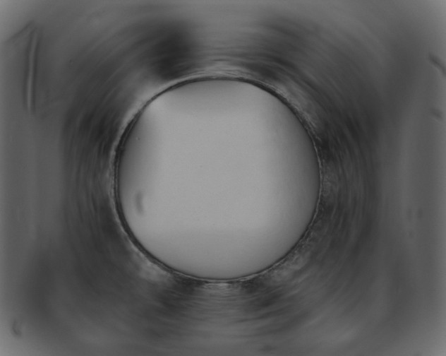 X0000093381478200710191125