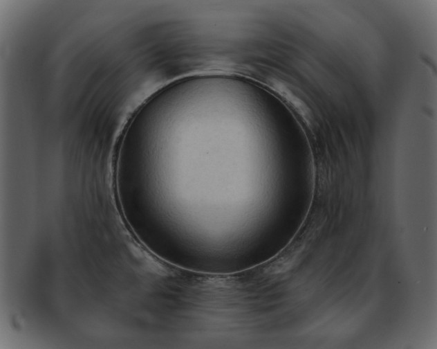 X0000093381480200710191125