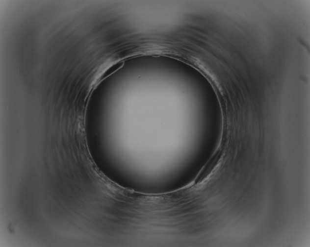 X0000093381481200710191125