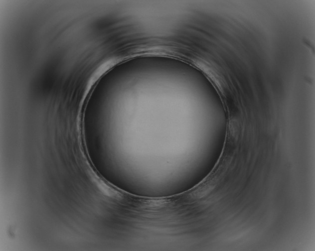 X0000093381482200710191125