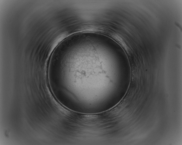 X0000093381483200710191125