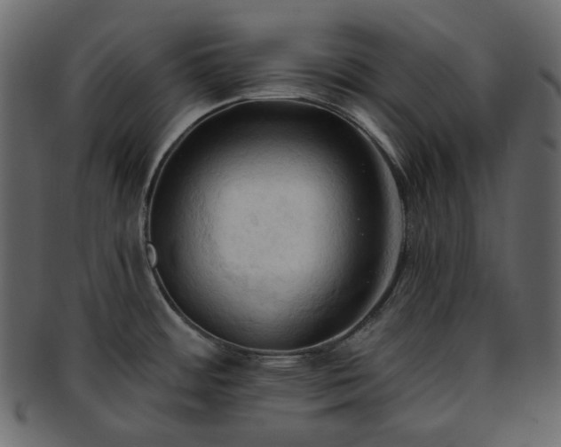X0000093381484200710191125