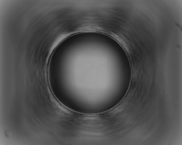 X0000093381486200710191125