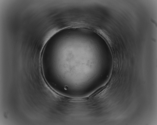 X0000093381487200710191125