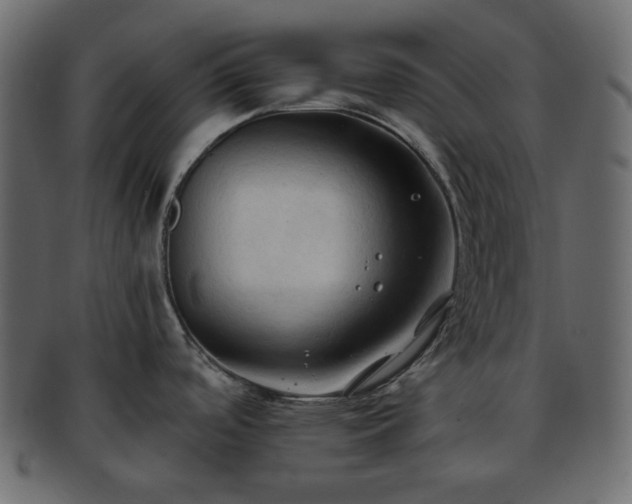 X0000093381488200710191125