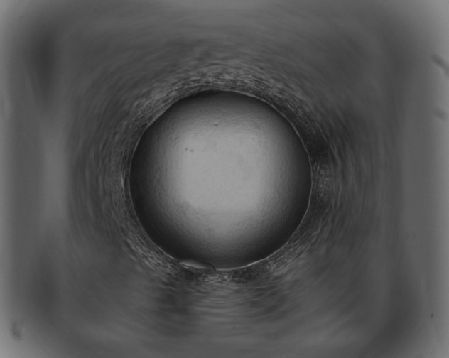 X0000093381489200710191125