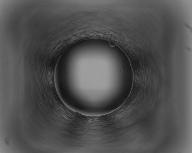 X0000093381490200710191125