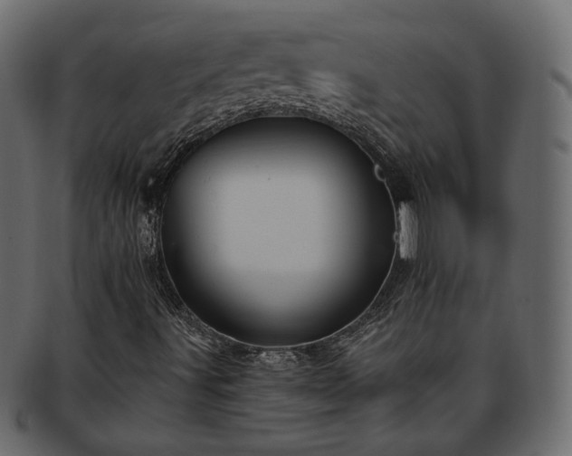X0000093381491200710191125