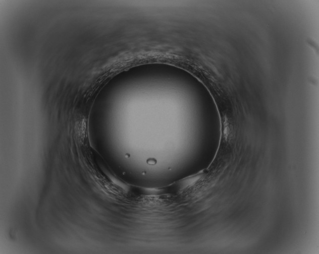 X0000093381492200710191125