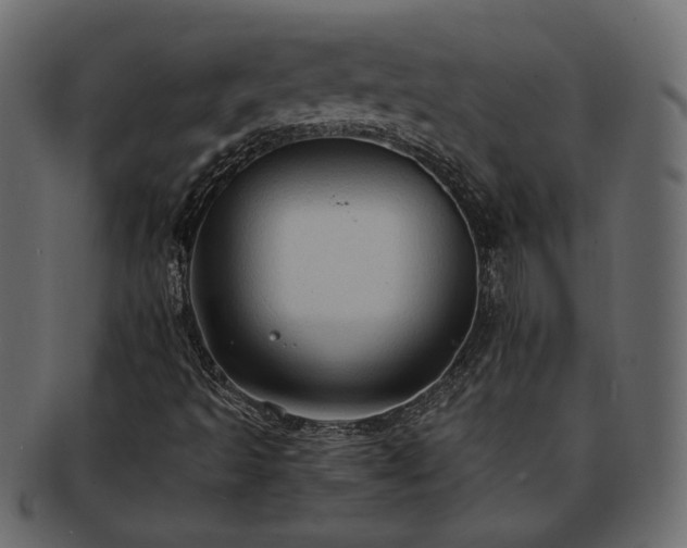 X0000093381493200710191125