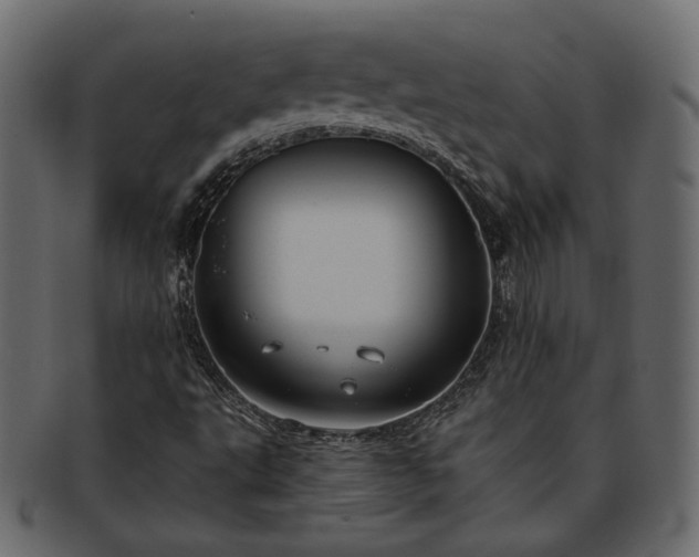 X0000093381495200710191125