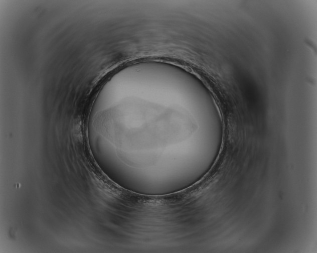 X0000093381497200710191125