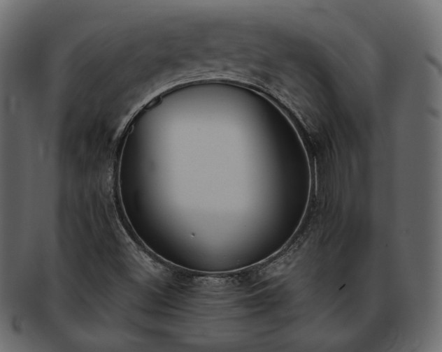 X0000093381500200710191125