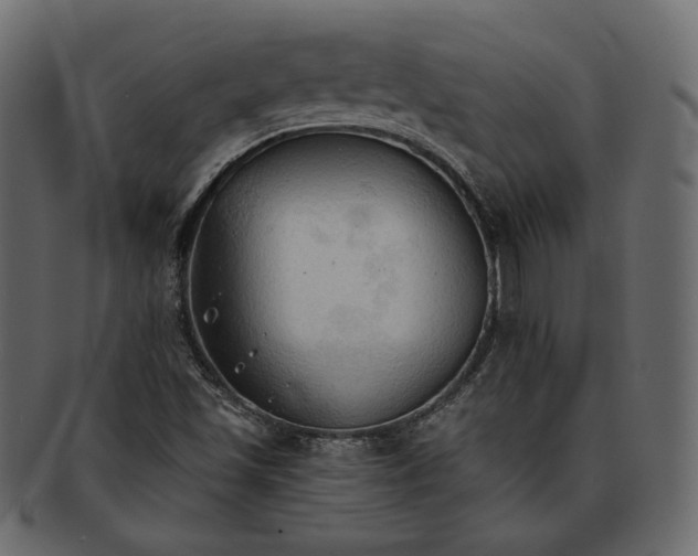 X0000093381501200710191125