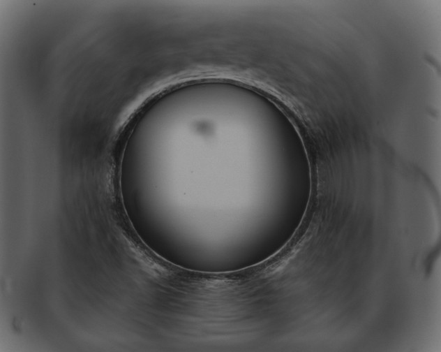 X0000093381502200710191125
