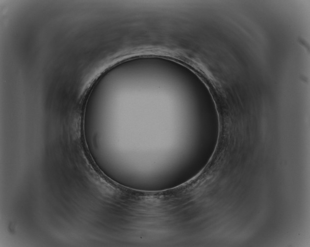 X0000093381504200710191125