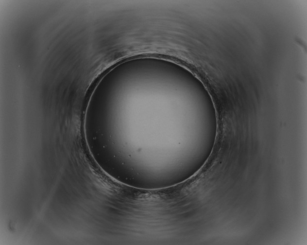 X0000093381505200710191125