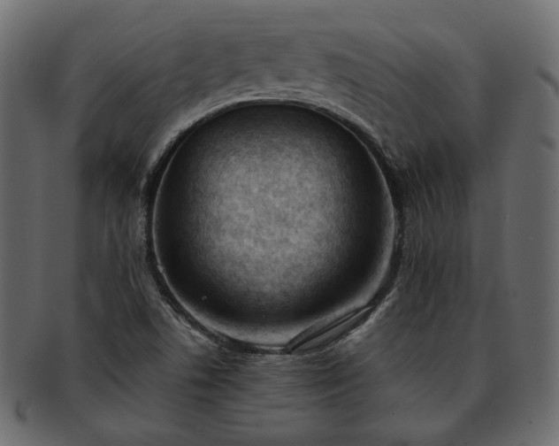 X0000093381506200710191125