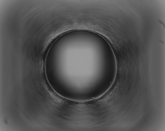 X0000093381507200710191125