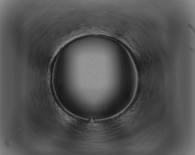 X0000093381508200710191125