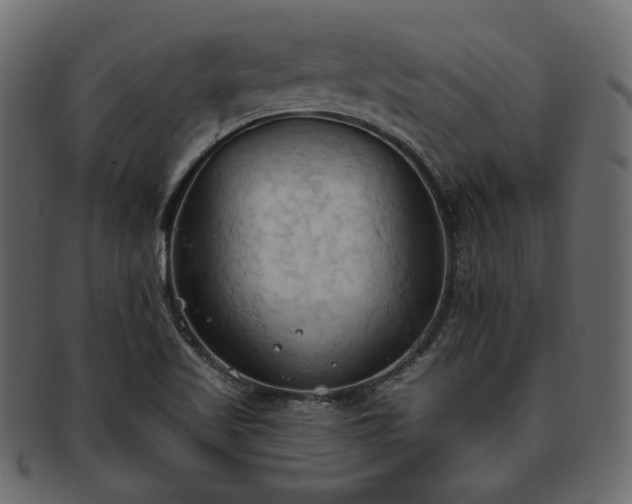 X0000093381509200710191125