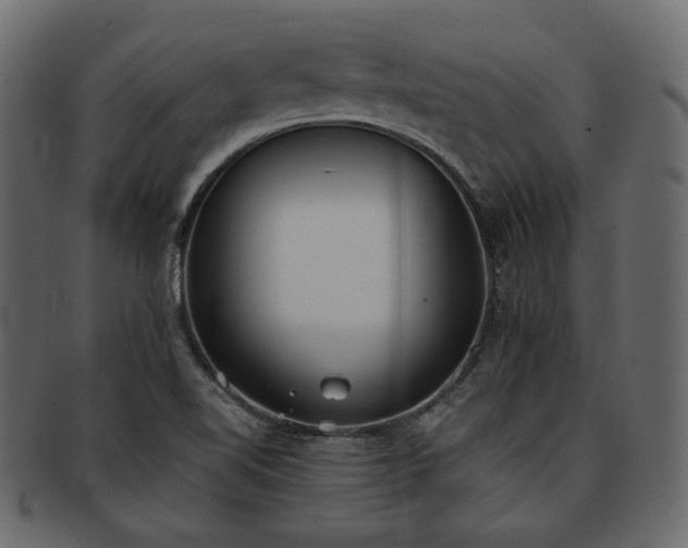 X0000093381510200710191125