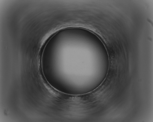 X0000093381511200710191125