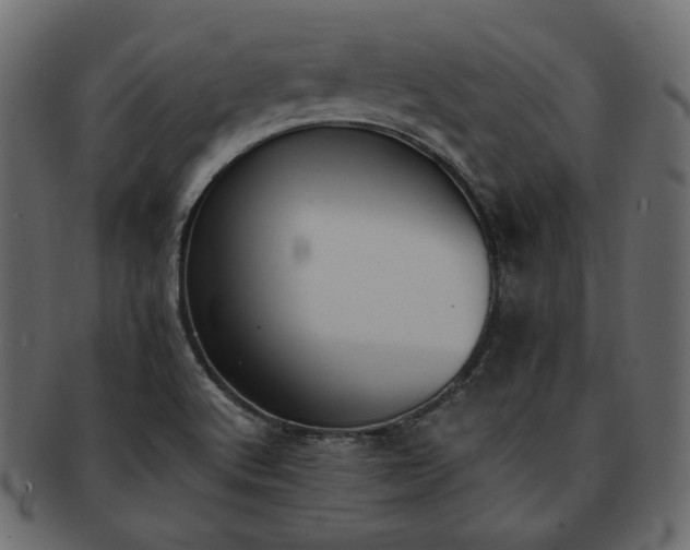 X0000093381512200710191125