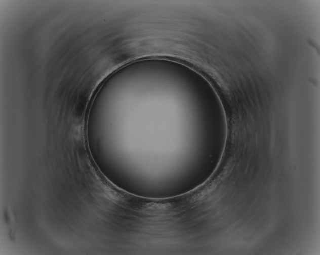 X0000093381513200710191125