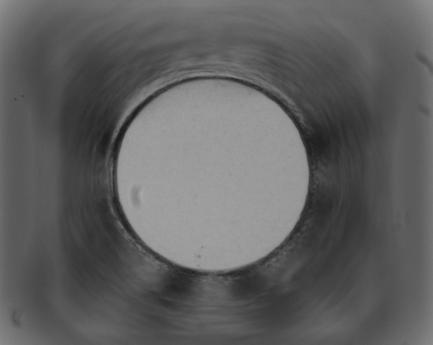 X0000093381514200710191125