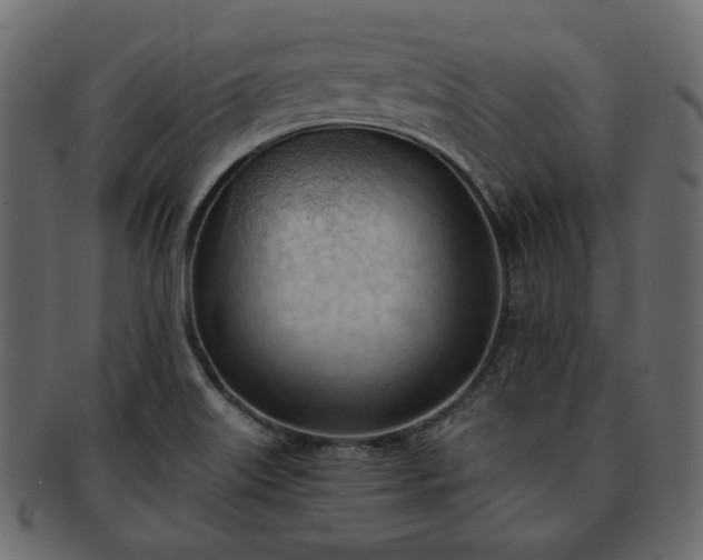 X0000093381515200710191125