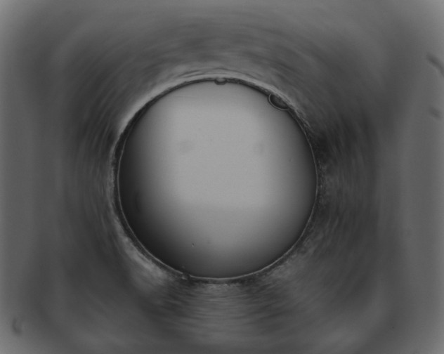 X0000093381518200710191125