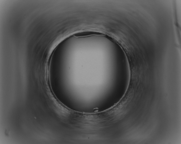 X0000093381520200710191125