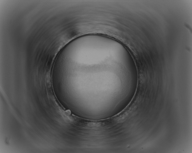 X0000093381521200710191125