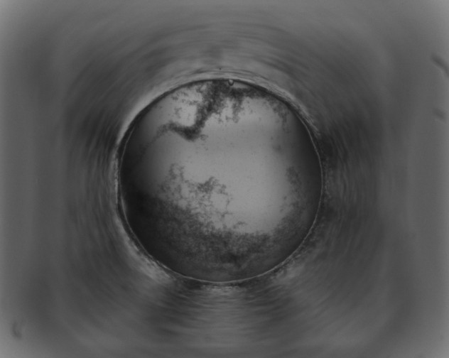 X0000093381522200710191125