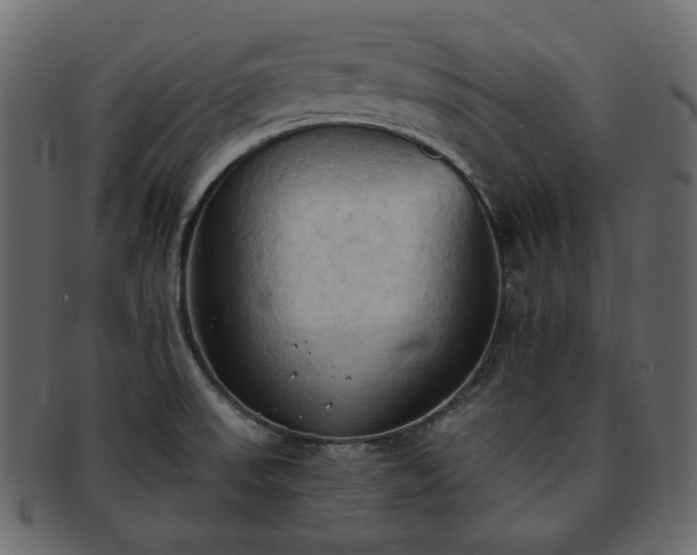 X0000093381523200710191125