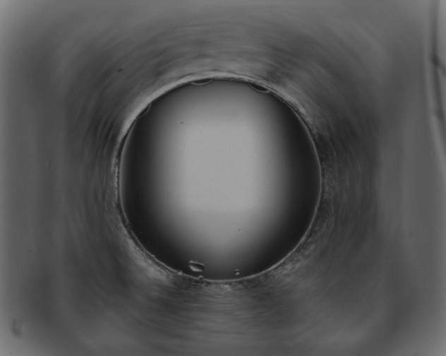 X0000093381524200710191125