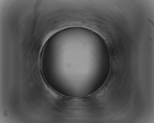 X0000093381527200710191125