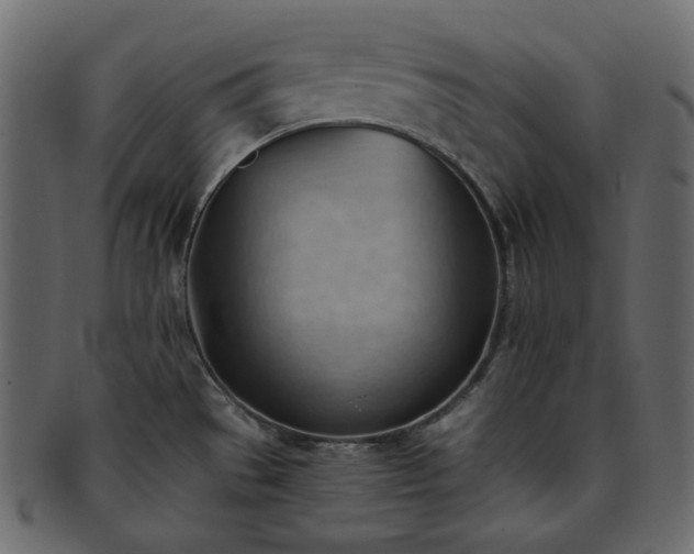 X0000093381529200710191125