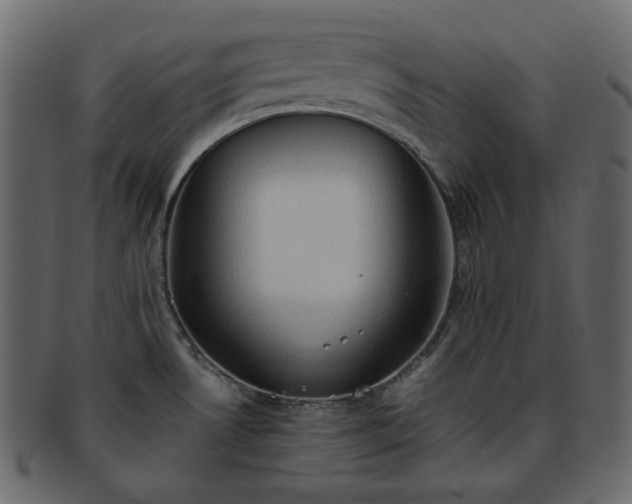 X0000093381530200710191125