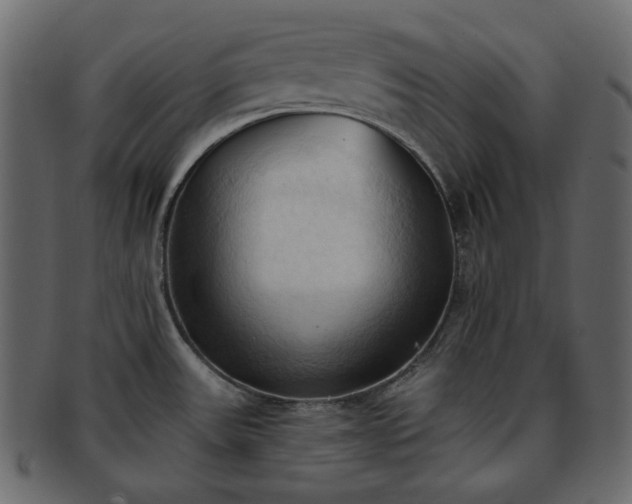 X0000093381531200710191125
