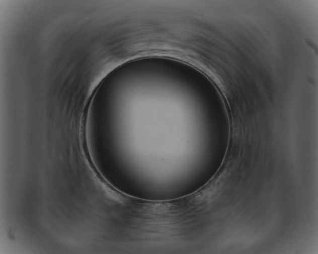 X0000093381533200710191125