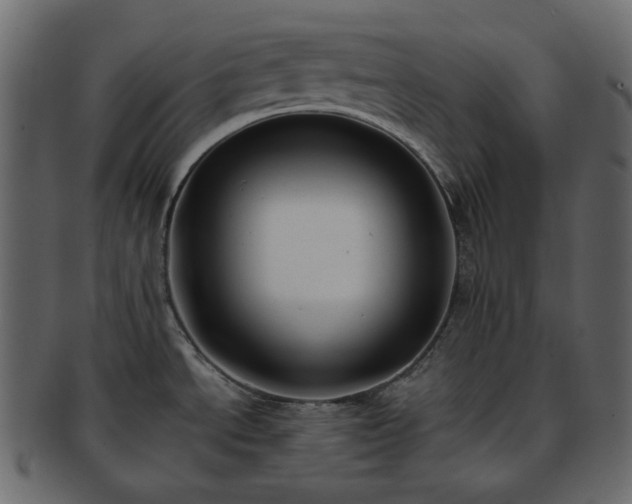 X0000093381534200710191125