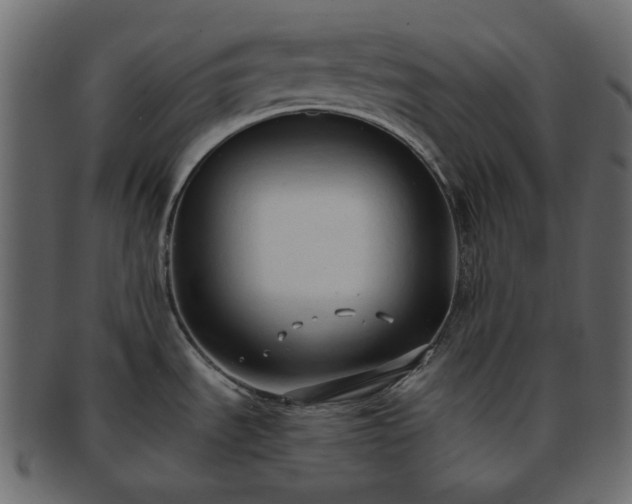X0000093381535200710191125