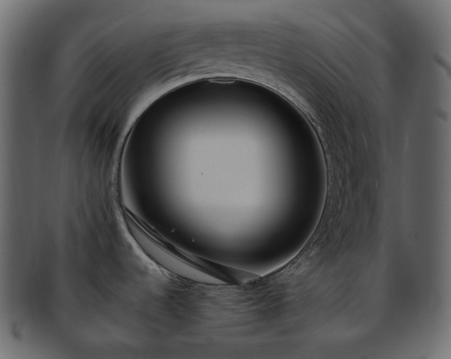 X0000093381536200710191125