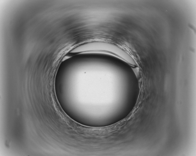 X0000093380001200710251228