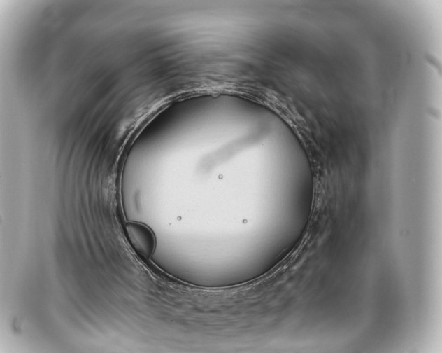 X0000093380002200710251228