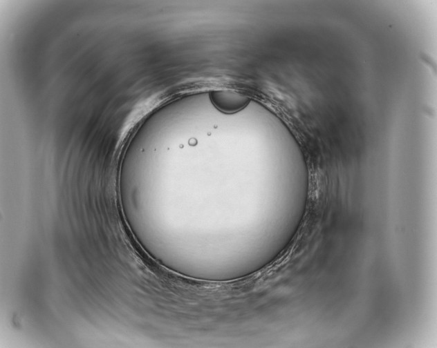 X0000093380004200710251228