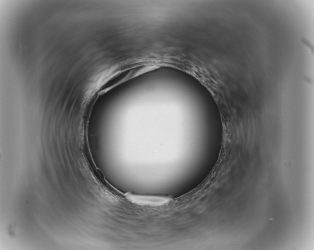 X0000093380005200710251228