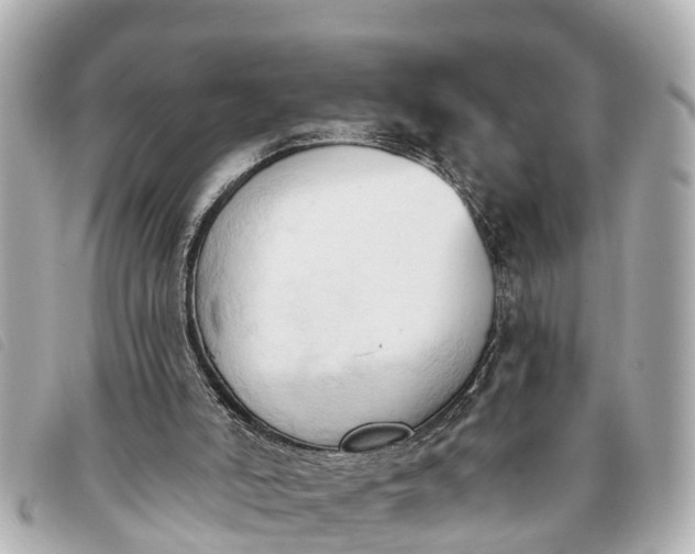 X0000093380006200710251228